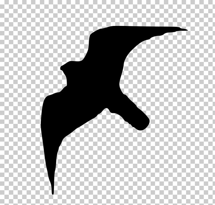 Bird Peale\'s falcon Silhouette, birds silhouette PNG clipart.