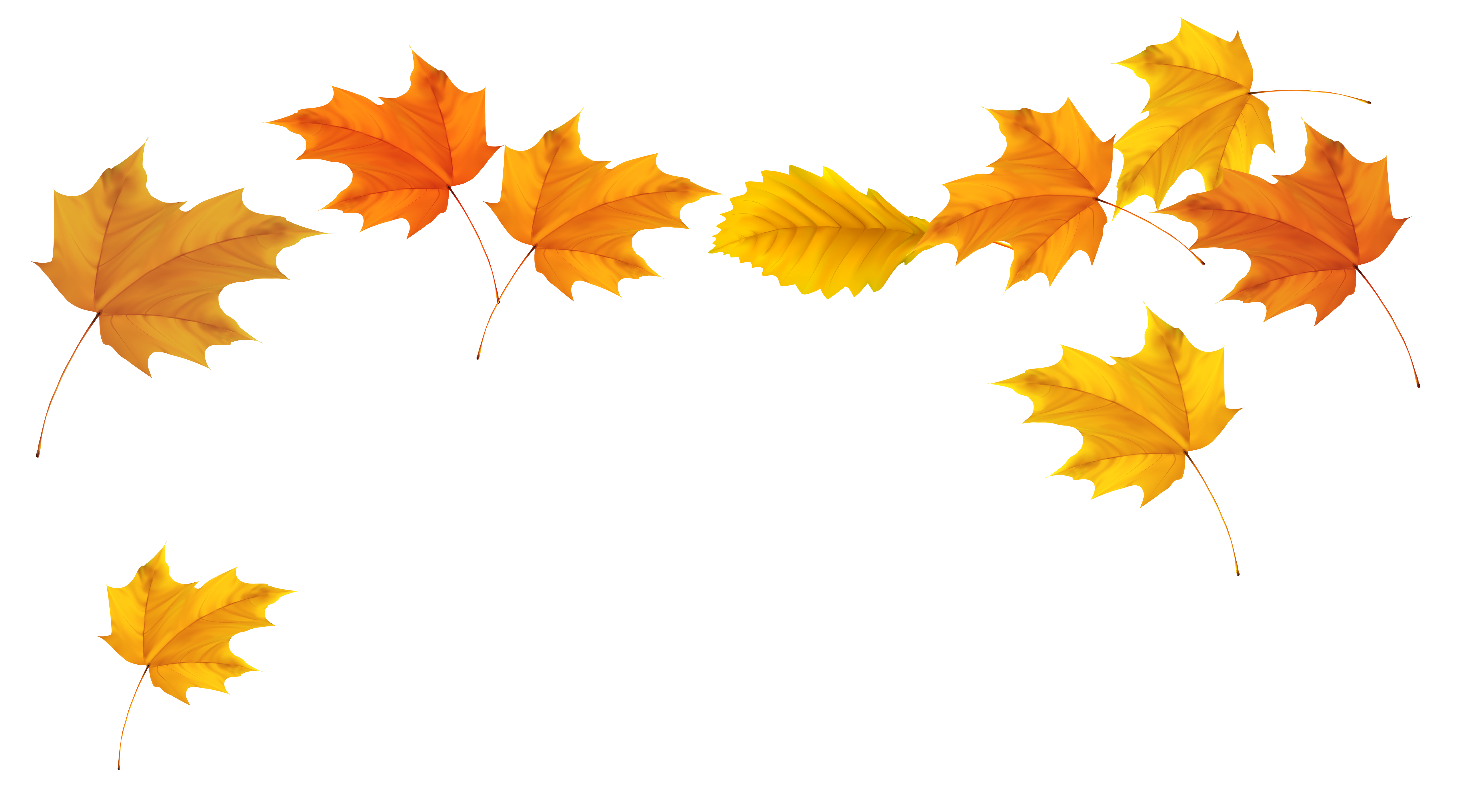 Autumn leaf color Clip art.