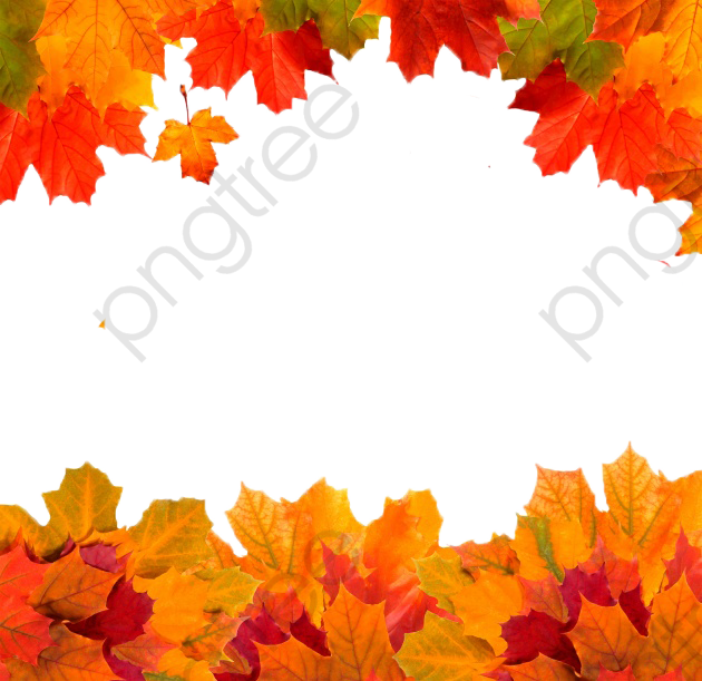 Autumn Leaves Border Fall Leaves Clipart Boarder.