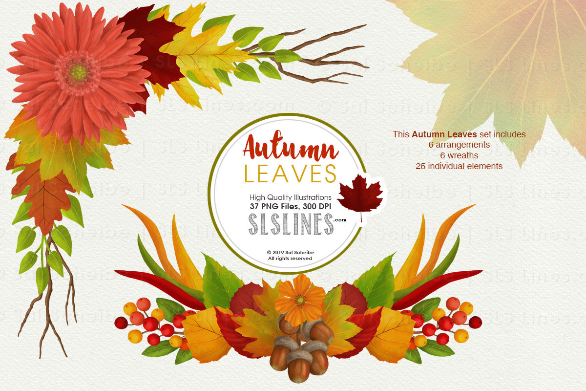 Autumn Leaves Fall Foliage Watercolor Clipart By SLS Lines.