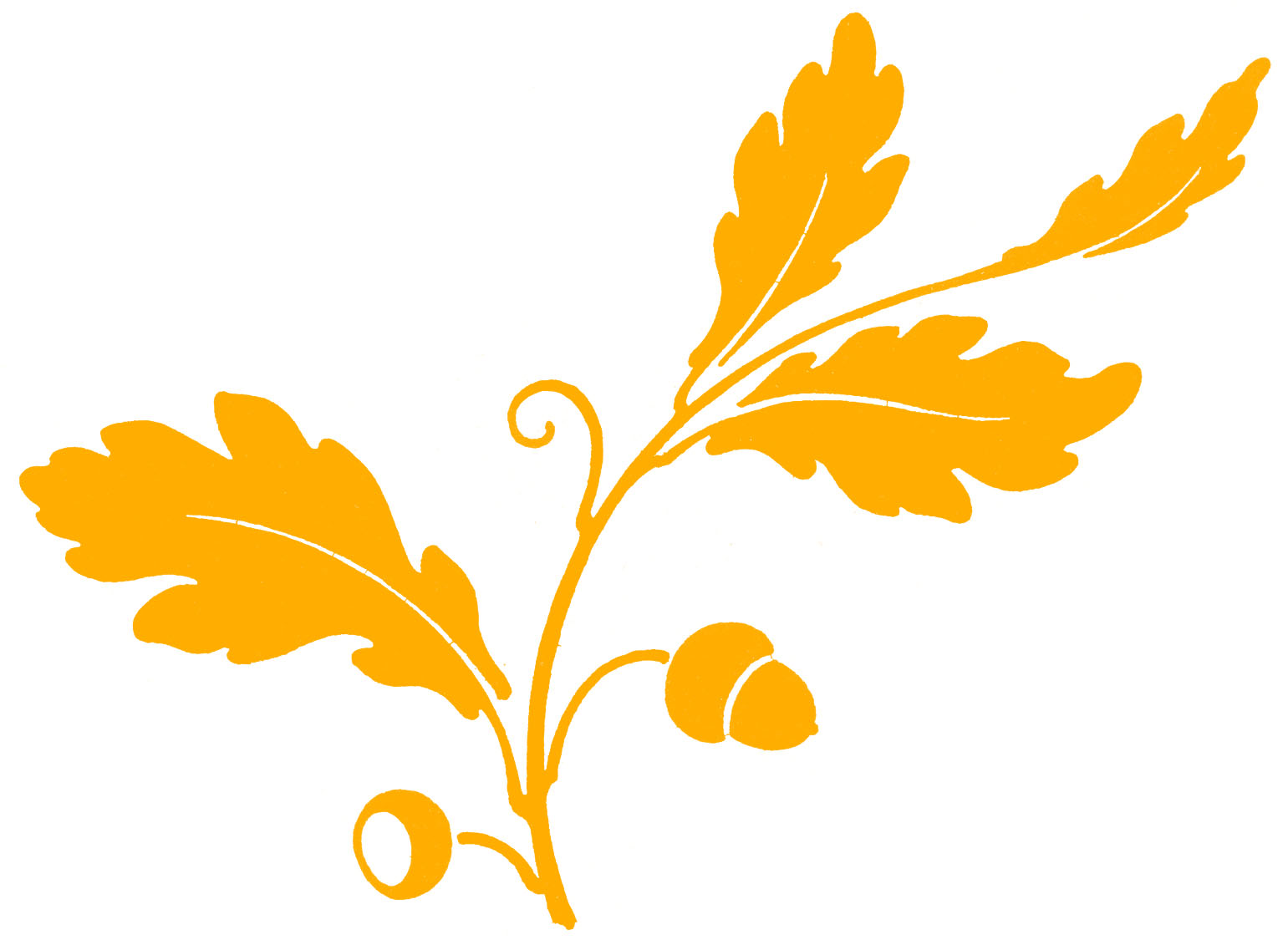 Fall Flowers Clipart.