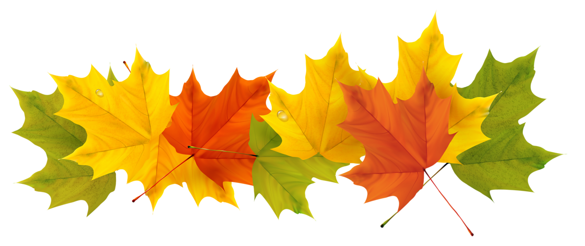 Collection of Fall Leaves on HDWallpapers.