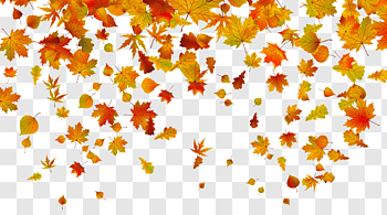 Fall Leaves cutout PNG & clipart images.