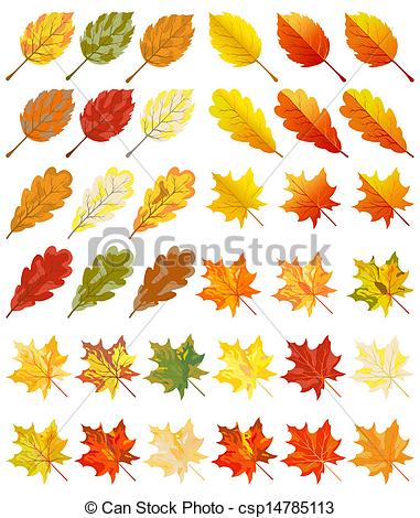 Fall Icons Clipart.