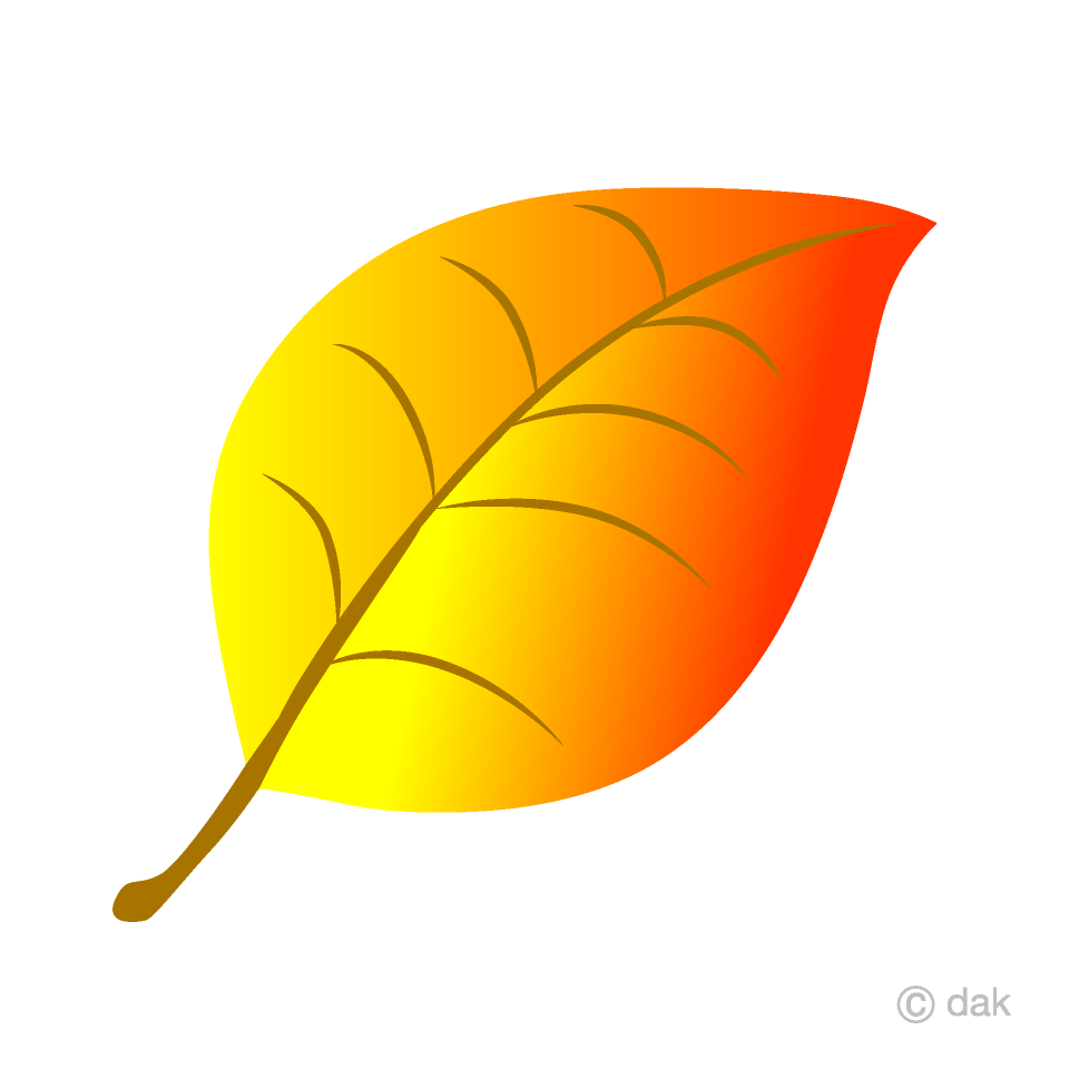 Free Autumn Leaf Clipart Image｜Illustoon.