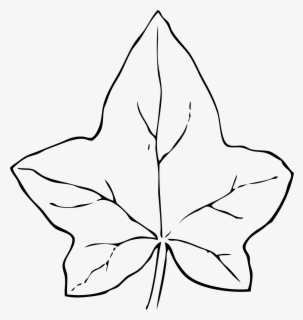Free Leaf Outline Clip Art with No Background.