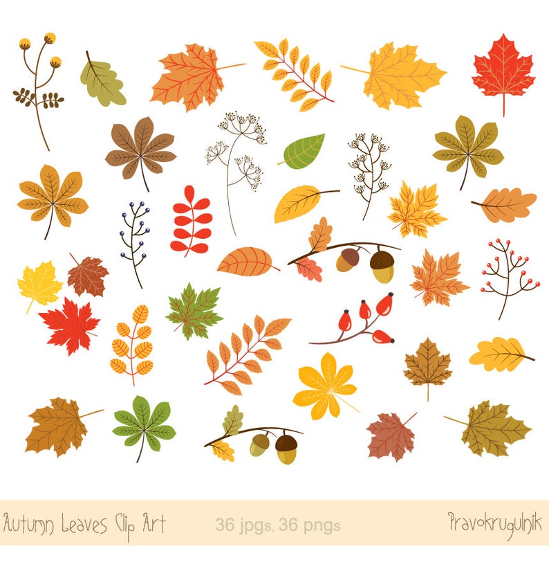 Autumn leaf clip art, Fall leaf clipart, Fall foliage clip art, Autumn leaf  clipart, Digital red leaf, Yellow leaf graphic, Leaf image.