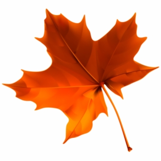 fall leaves png 10 free Cliparts | Download images on Clipground 2024