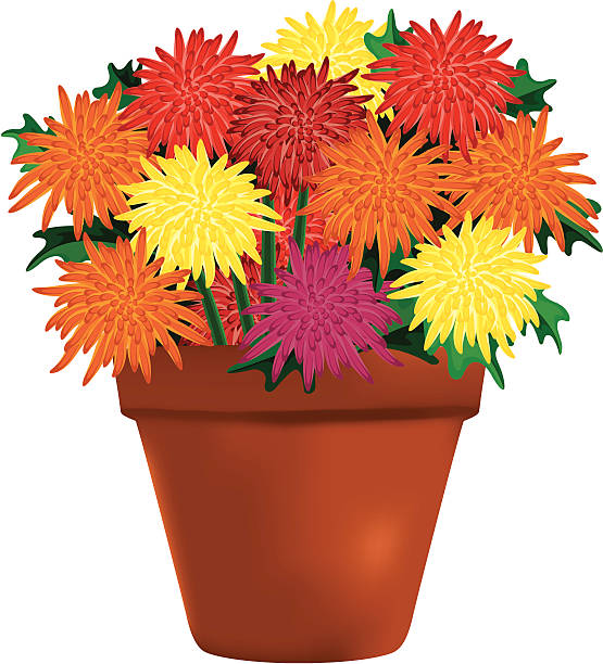 Five Free Fall Mums Watercolor Printables - vrogue.co