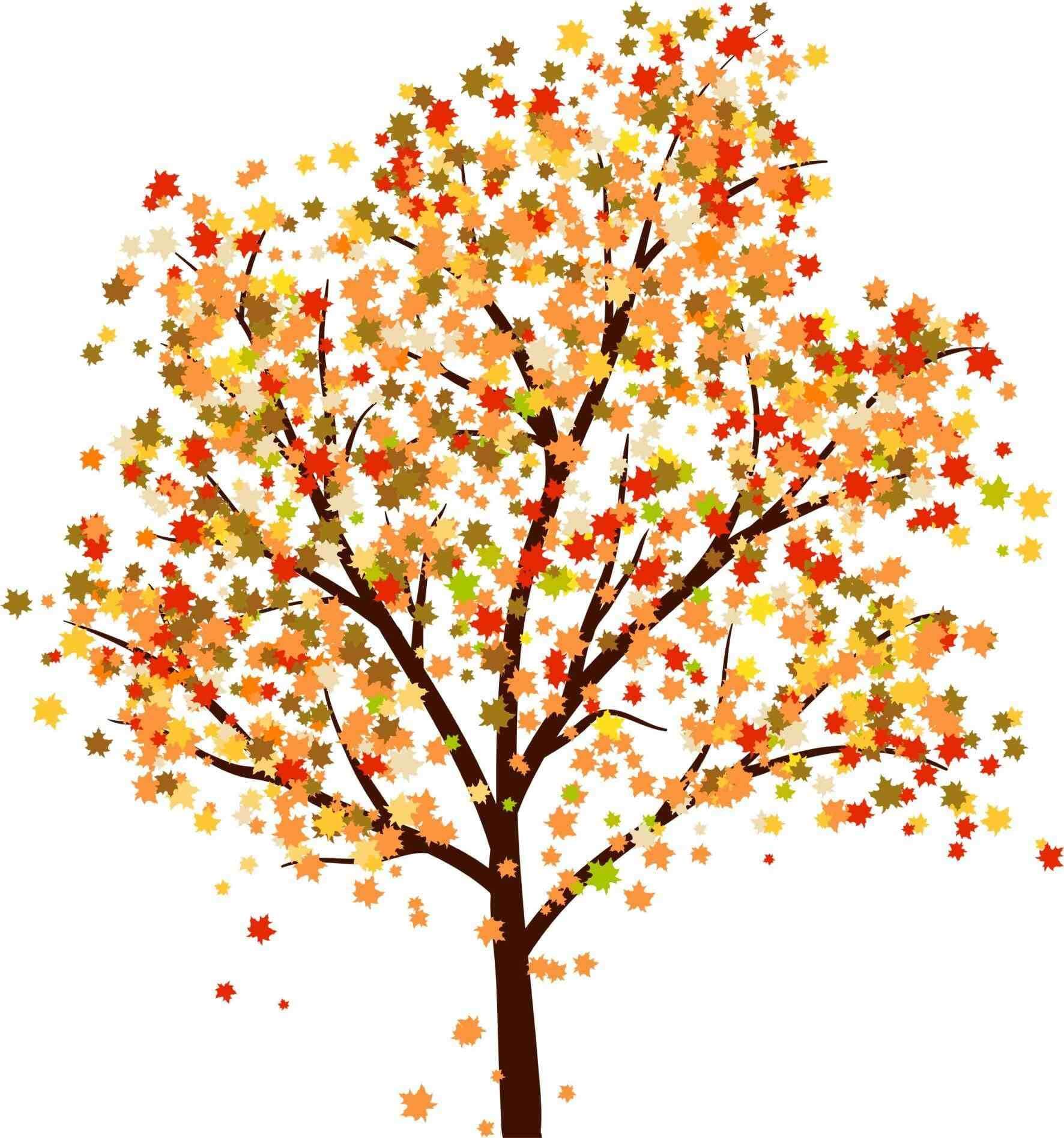 Fall Tree Clipart Free Download Clip Art.