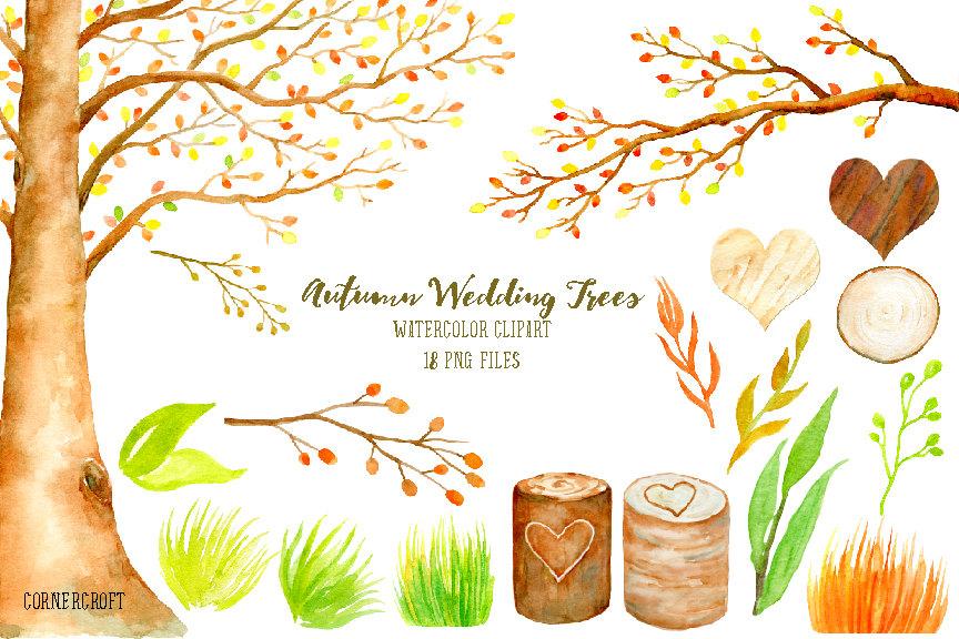 Wedding clipart watercolor autumn beech tree, beech tree in fall color.