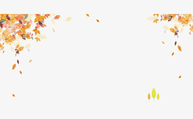 Golden Autumn Leaves, Golden, Fall, Fall #50147.