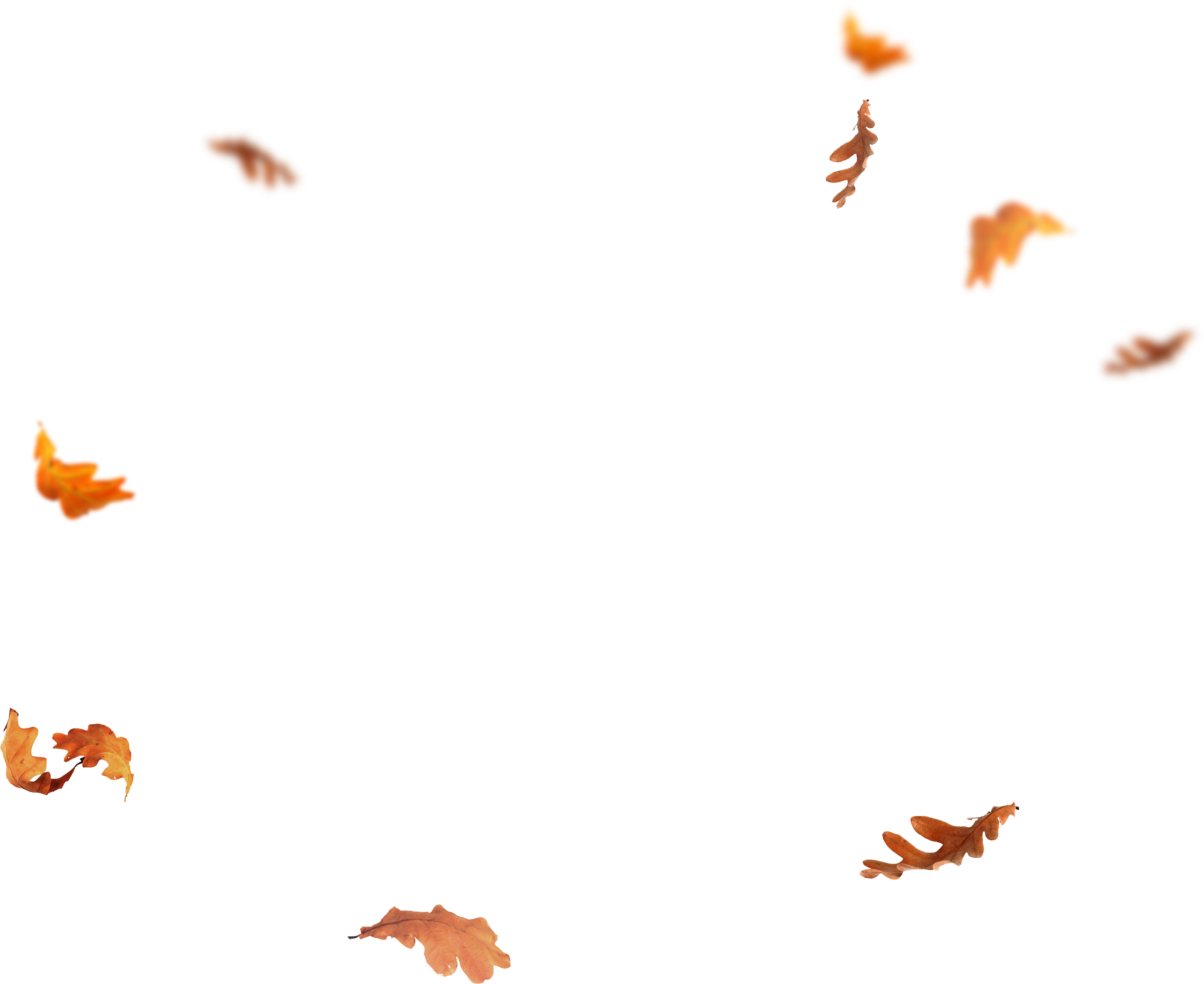 download falling leaves png images.