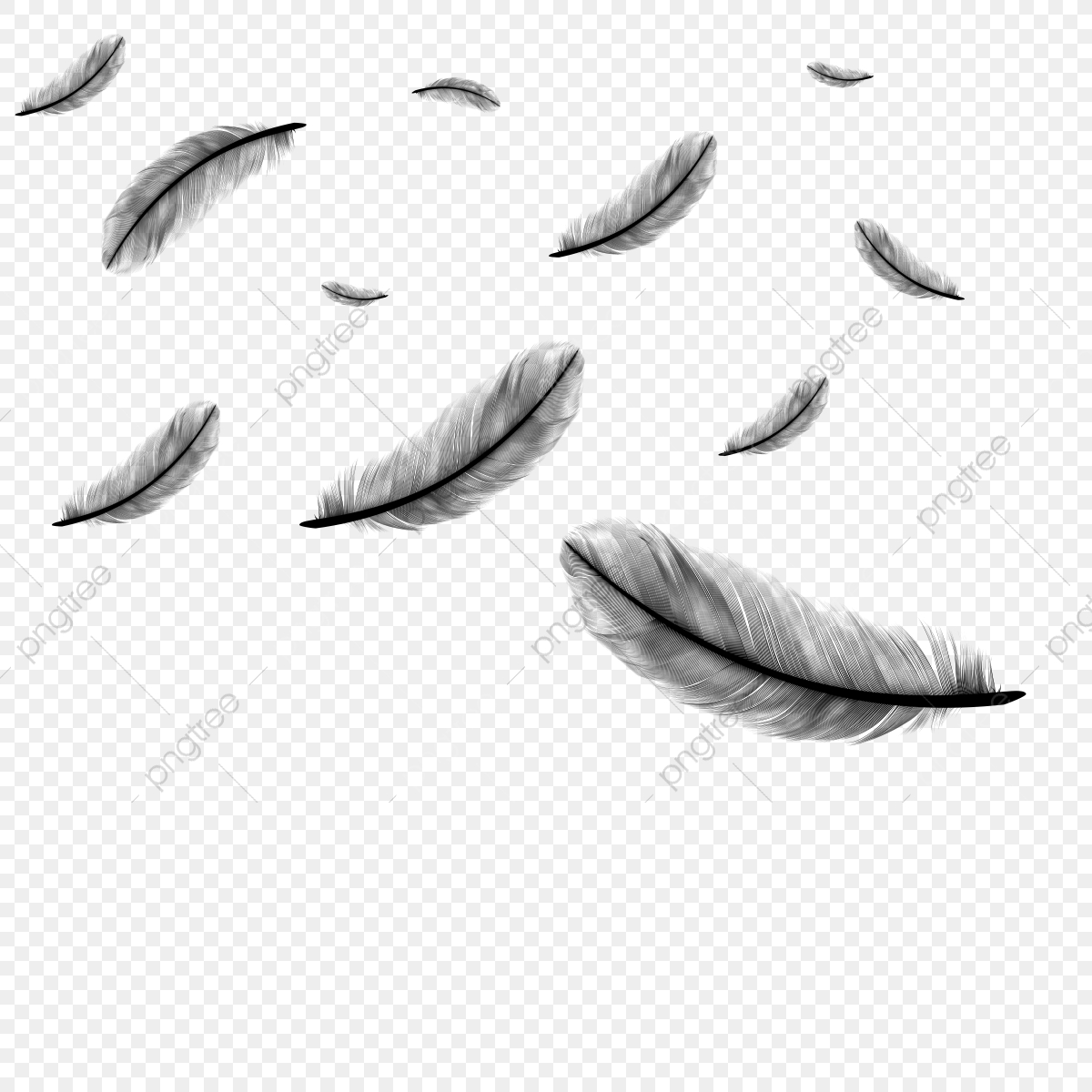 falling feather clip art 10 free Cliparts | Download images on