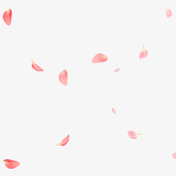 Rose Petals, Petal, Falling Petals PNG Transparent Clipart Image and.