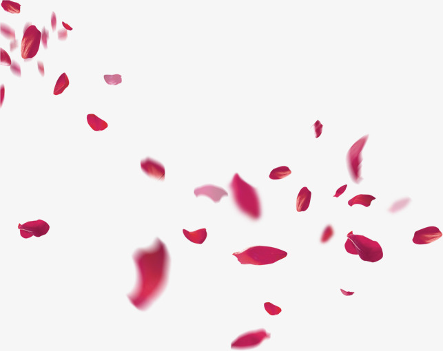 falling petals png 10 free Cliparts | Download images on Clipground 2021