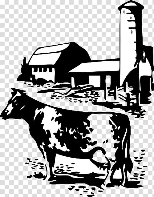 Holstein Friesian cattle Beef cattle Milk Calf , Farmer.