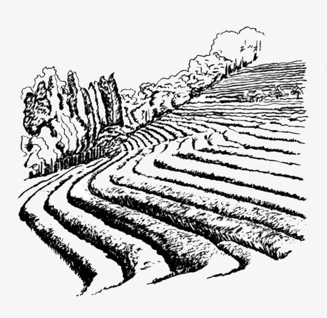The best free Farmland drawing images. Download from 35 free.