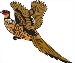 Free Pheasant Clipart.