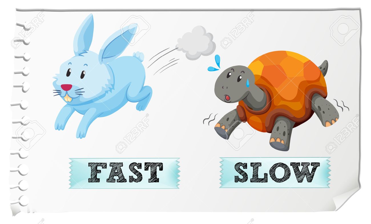 fast and slow clipart 10 free Cliparts | Download images on Clipground 2022