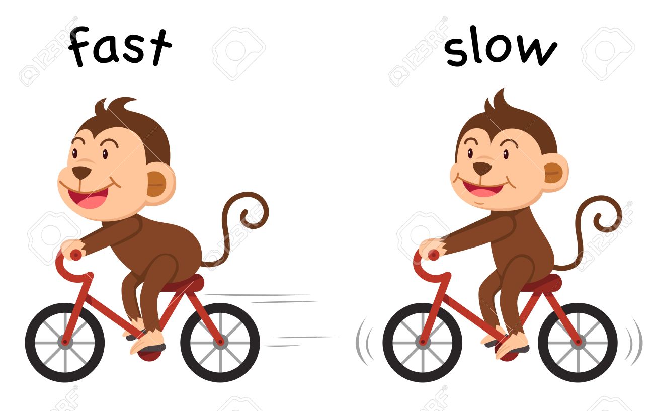 fast-and-slow-clipart-10-free-cliparts-download-images-on-clipground-2023