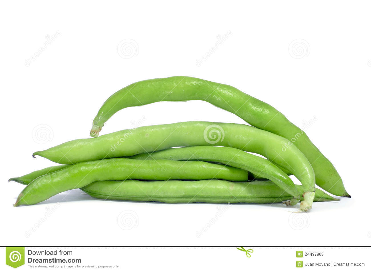 Fava Beans Broad Beans Stock Photos, Images, & Pictures. Fava Beans Broad Beans Stock Photos, Images, & Pictures.
