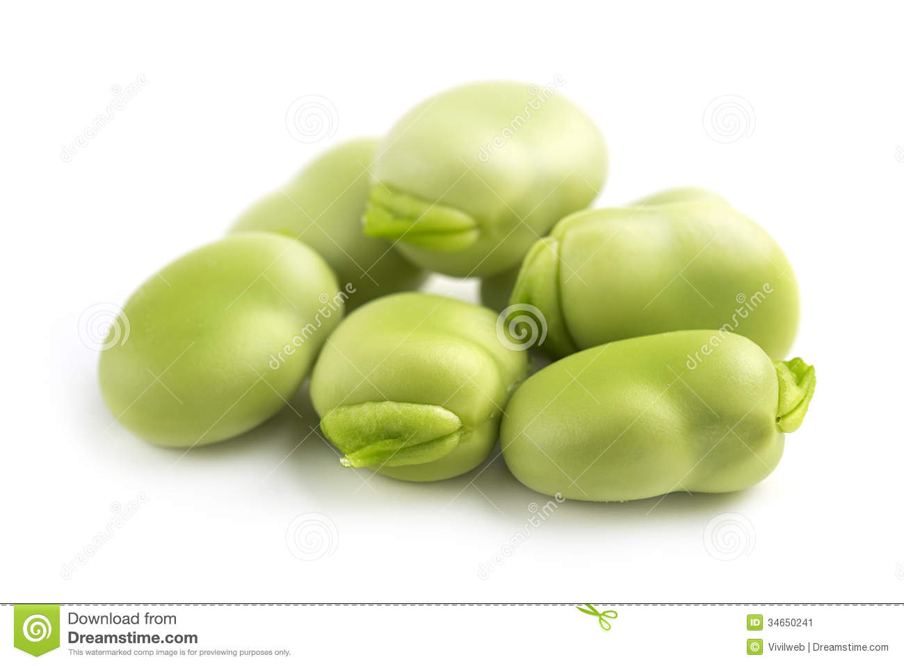 Broad bean clipart. Broad bean clipart.