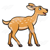 Fawn clipart.