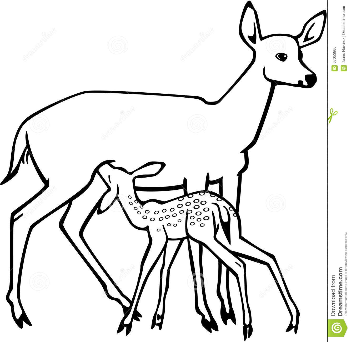 Fawn feeding clipart 20 free Cliparts | Download images on Clipground 2021