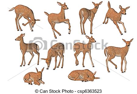 Fawn Illustrations and Clipart. 921 Fawn royalty free.