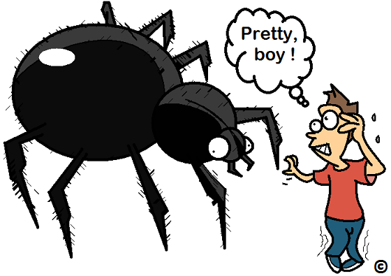 confronting a fear of spiders.