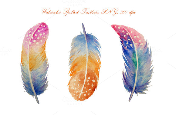 Free Feather Clip Art Pictures.