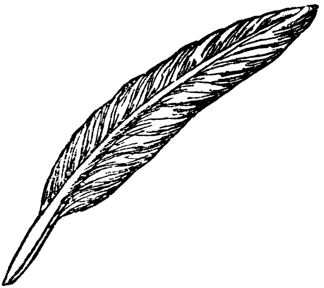 Free Feather Clip Art Black And White, Download Free Clip.
