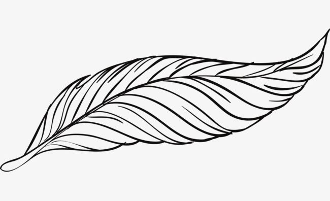 Beautiful Peacock Feather Artwork PNG, Clipart, Animal.