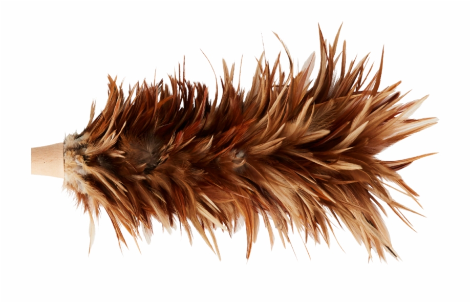 Natural Feather Duster , Png Download, Transparent Png Download For.
