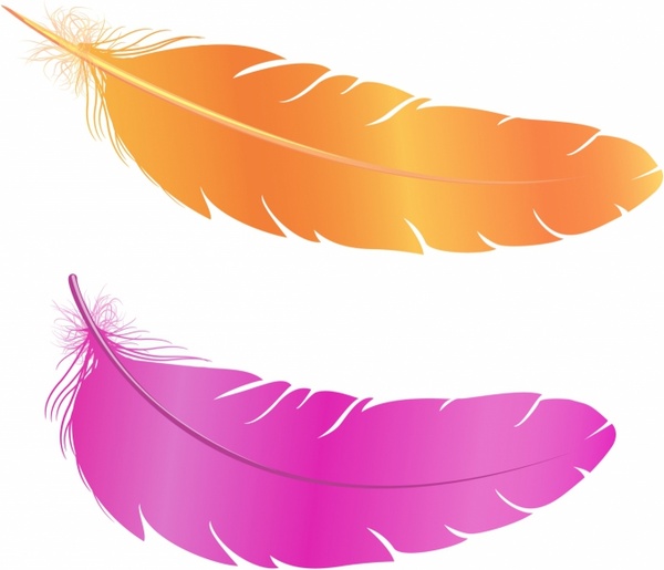 Feather Free vector in Adobe Illustrator ai ( .AI.