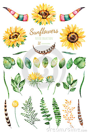 Handpainted Watercolor Sunflowers.31 Bright Watercolor Clipart Of.