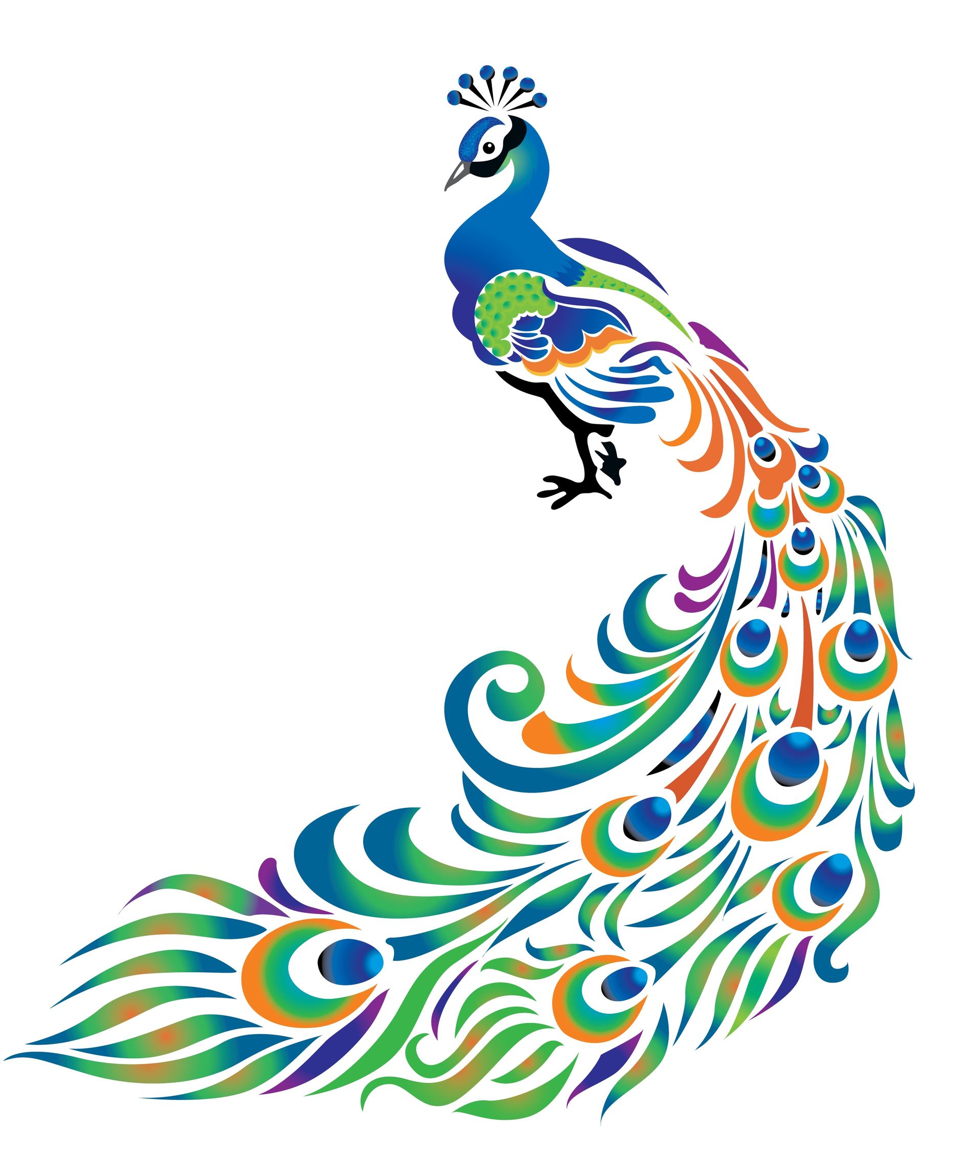 Peacock pattern clipart 20 free Cliparts | Download images on