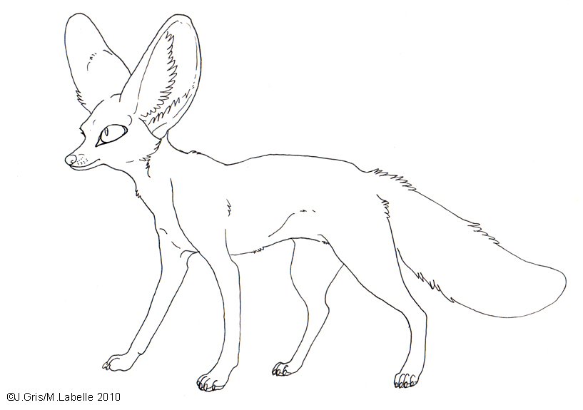 Fennec fox clipart 20 free Cliparts | Download images on Clipground 2023