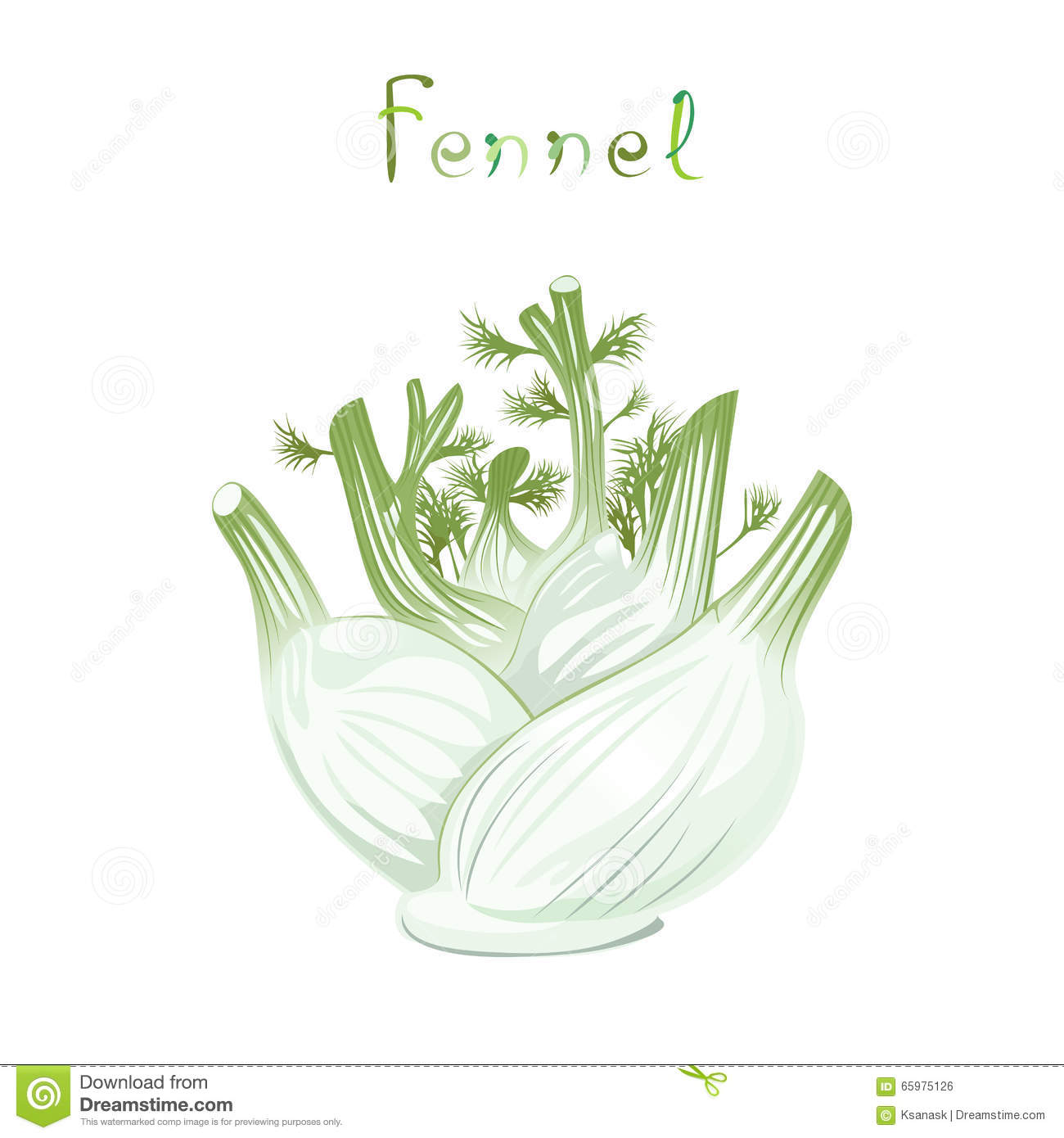 Sweet fennel clipart 20 free Cliparts Download images on Clipground 2024