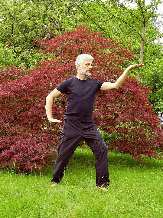 Free photo Qigong Taiji Chi Kung Fernöstlich Qi Gong Tai Chi.