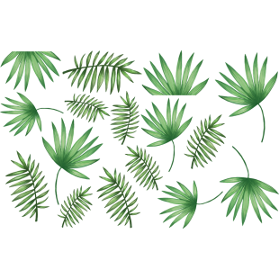 Sticker feuilles de palmier.