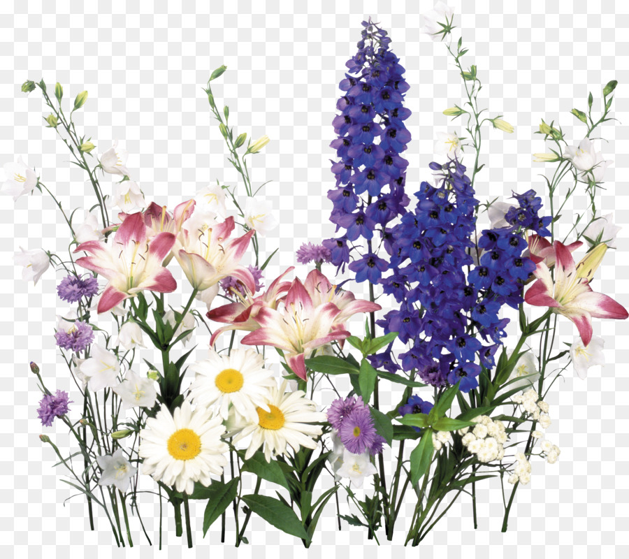 Bouquet Of Flowers Drawing png download.