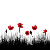 Field poppy Clip Art and Stock Illustrations. 500 field poppy EPS.