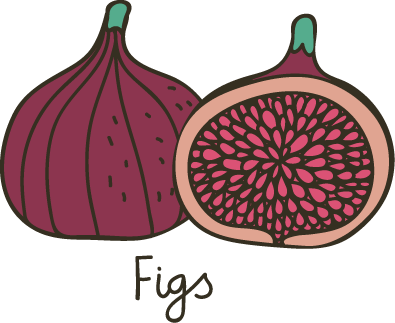 Fig fruit clipart.