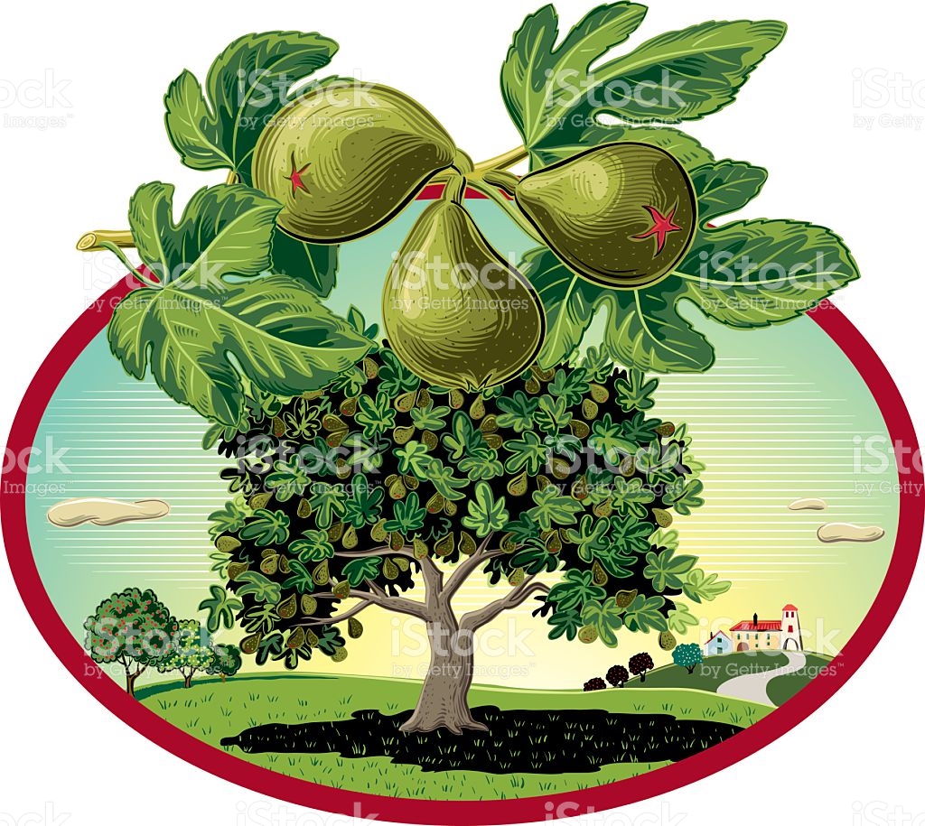 Fig tree clipart 20 free Cliparts | Download images on Clipground 2022