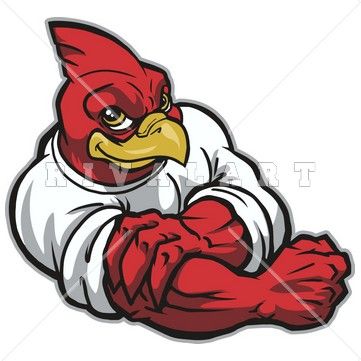 Mascot Clipart Image of a Fighting Cardinal Graphic.