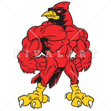 Mascot Clipart Image of Cardinal With Muscles In Color Graphic.