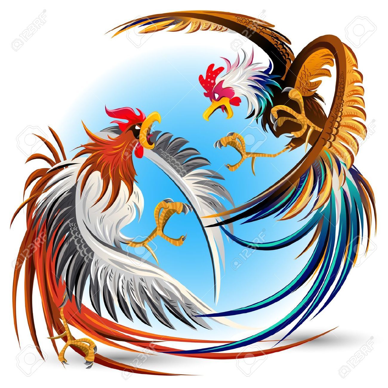 Rooster Fight Stock Vector Illustration And Royalty Free Rooster.