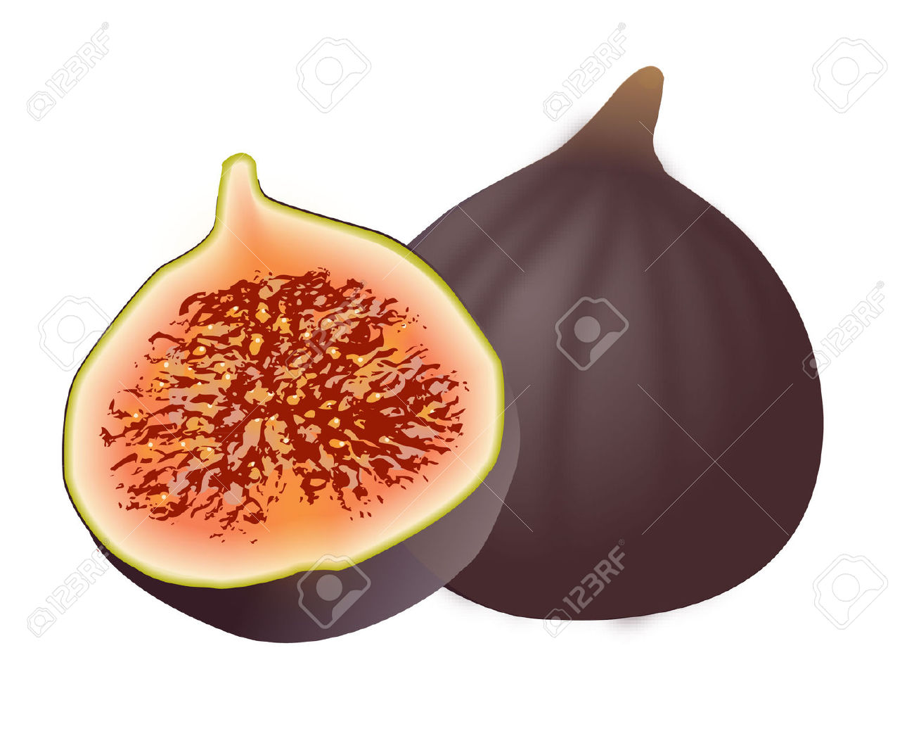 Figs clipart free.